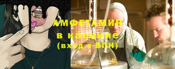 гашик Алексеевка