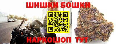 стаф Гусев