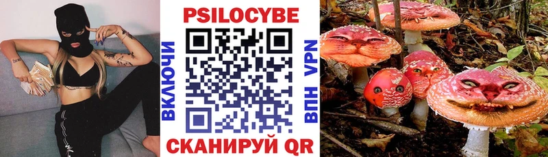 где найти   Учалы  Псилоцибиновые грибы ЛСД 