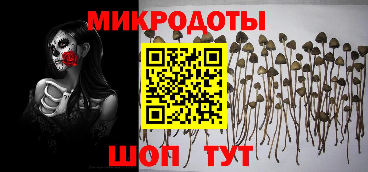 Псилоцибиновые грибы GOLDEN TEACHER  Псилоцибиновые грибы MAGIC MUSHROOMS  Учалы  Вход с VPN 